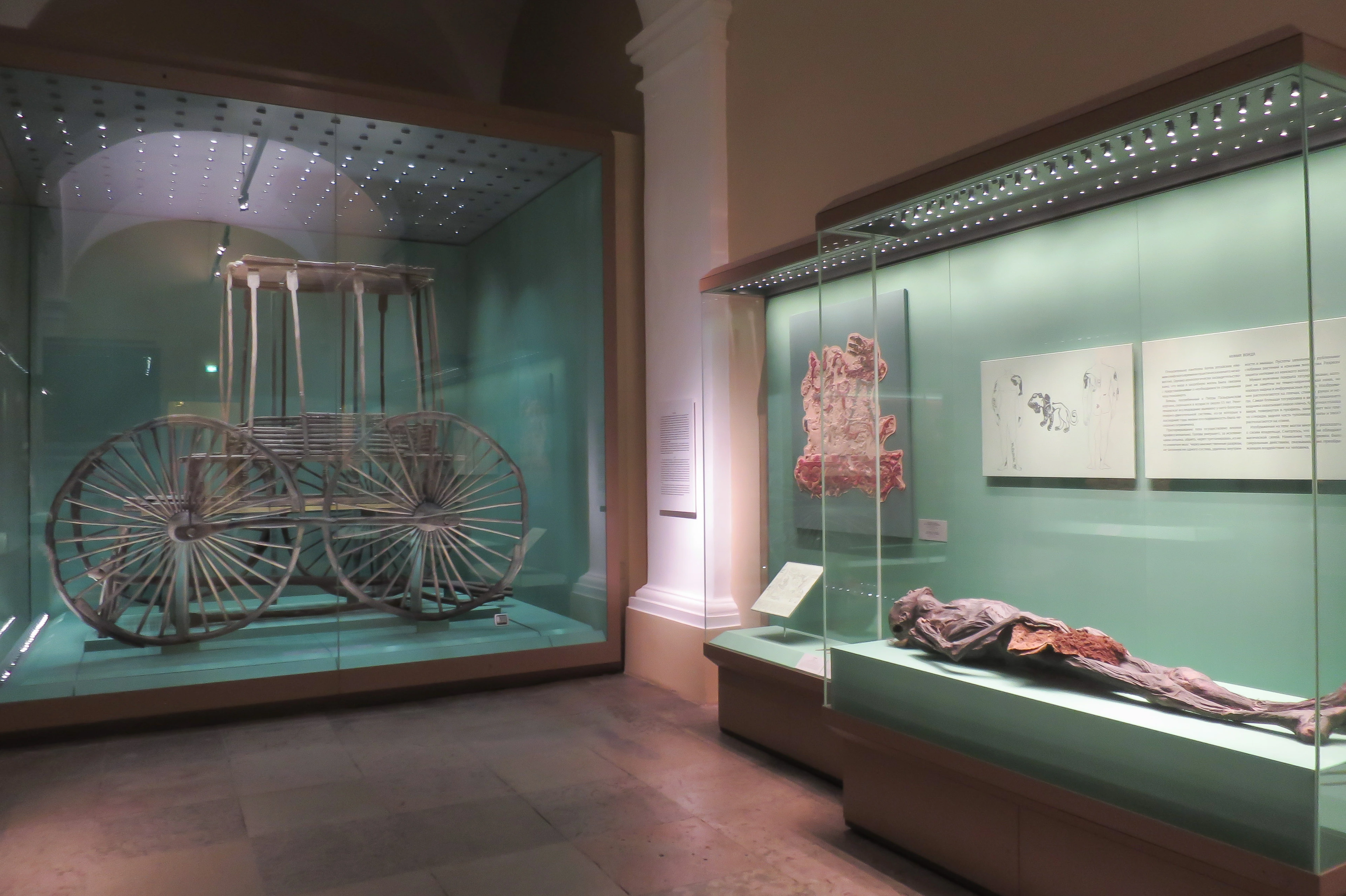 Exhibits in the Hermitage Museum, featuring a wooden cart and a preserved mummy in display cases.