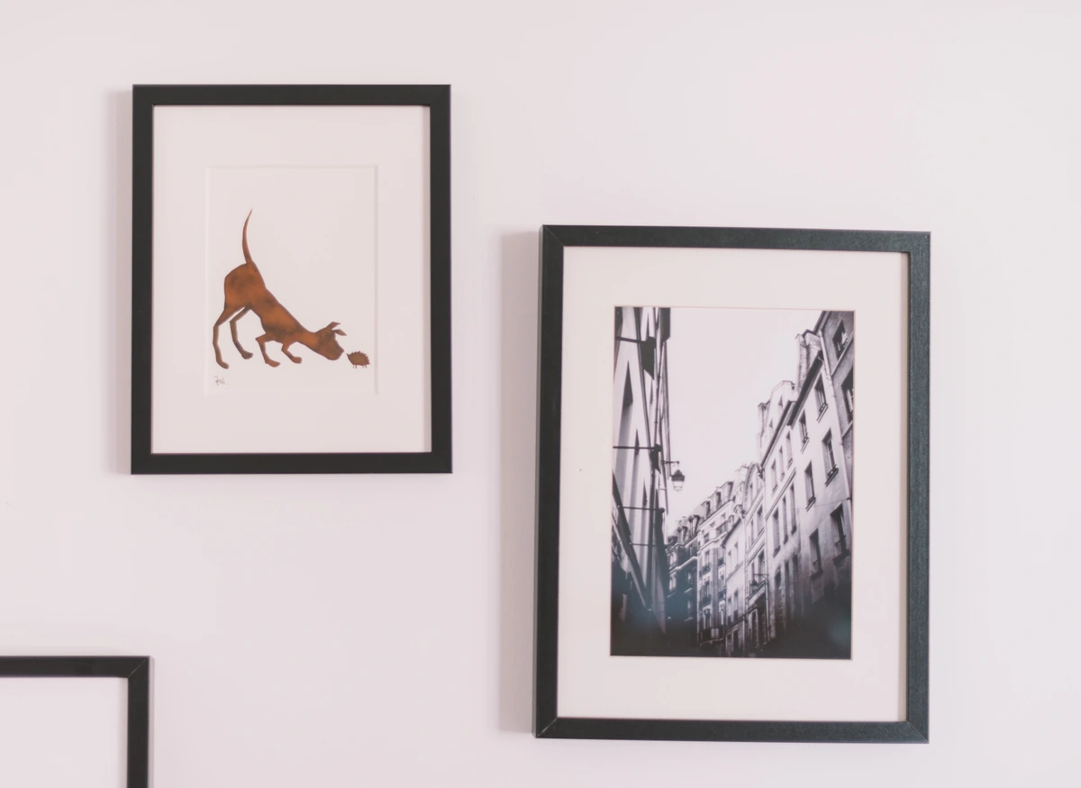 Framed wall art featuring a copper silhouette of a dog interacting with a hedgehog, and a black and white photograph of a narrow Parisian street with buildings and balconies.
