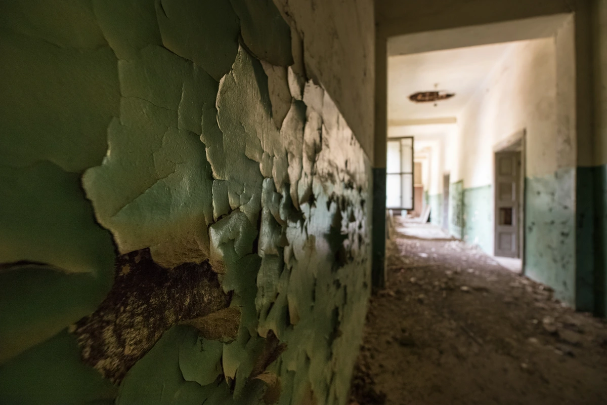 Close-up of peeling green paint on a wall in an abandoned building's hallway.