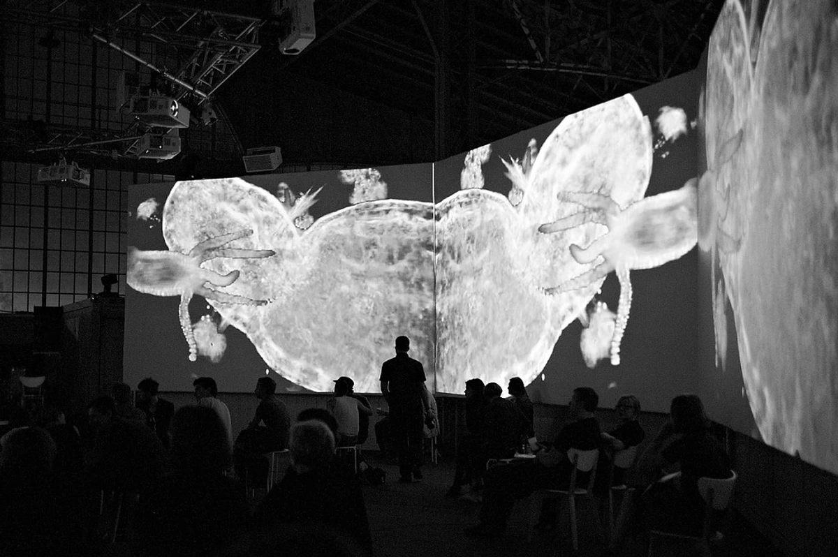 Audience watching a large-scale video art installation at a festival, showcasing abstract digital visuals.