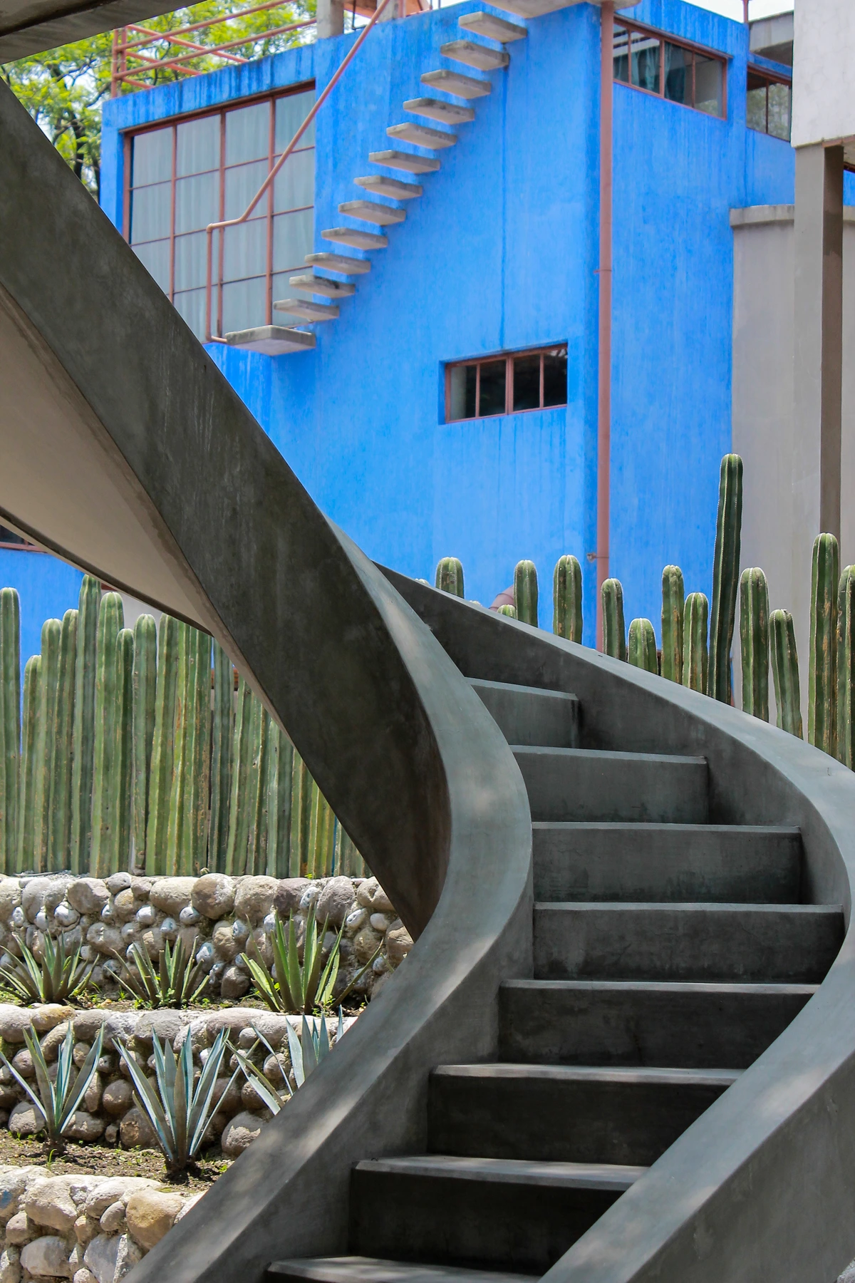 Spiral concrete staircase leading to the blue facade of the Casa Azul, Frida Kahlo Museum, with cacti and agave plants in the foreground.