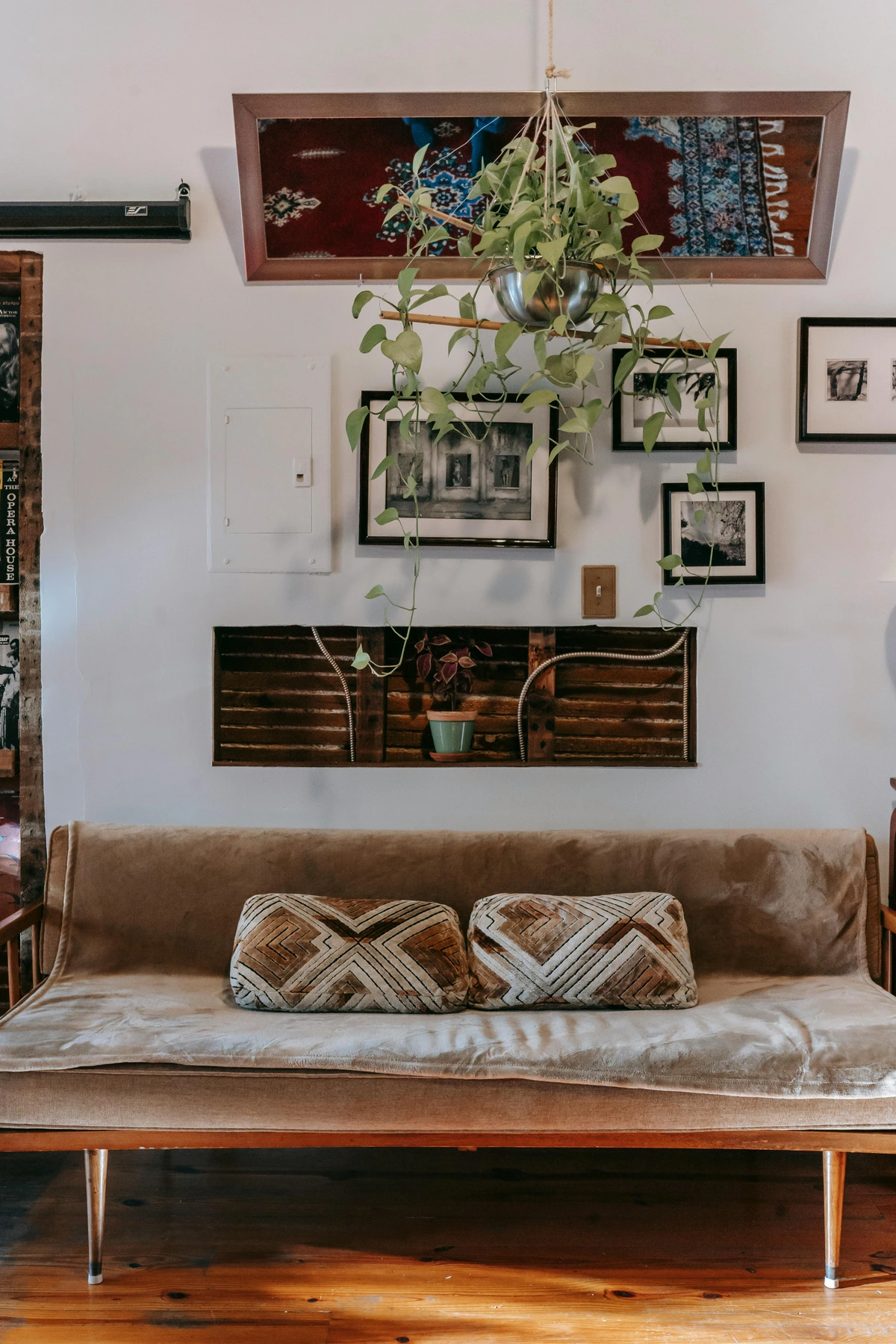 Comfortable tan velvet couch with patterned throw pillows in a living room with a gallery wall and hanging plant.