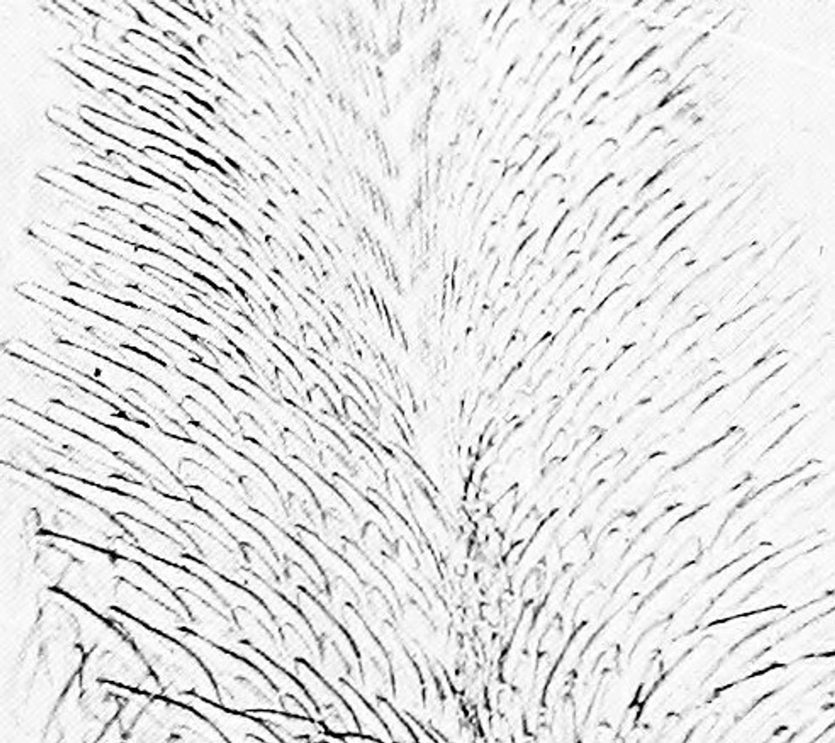 Artist Work Details for inherent qualities of artists image