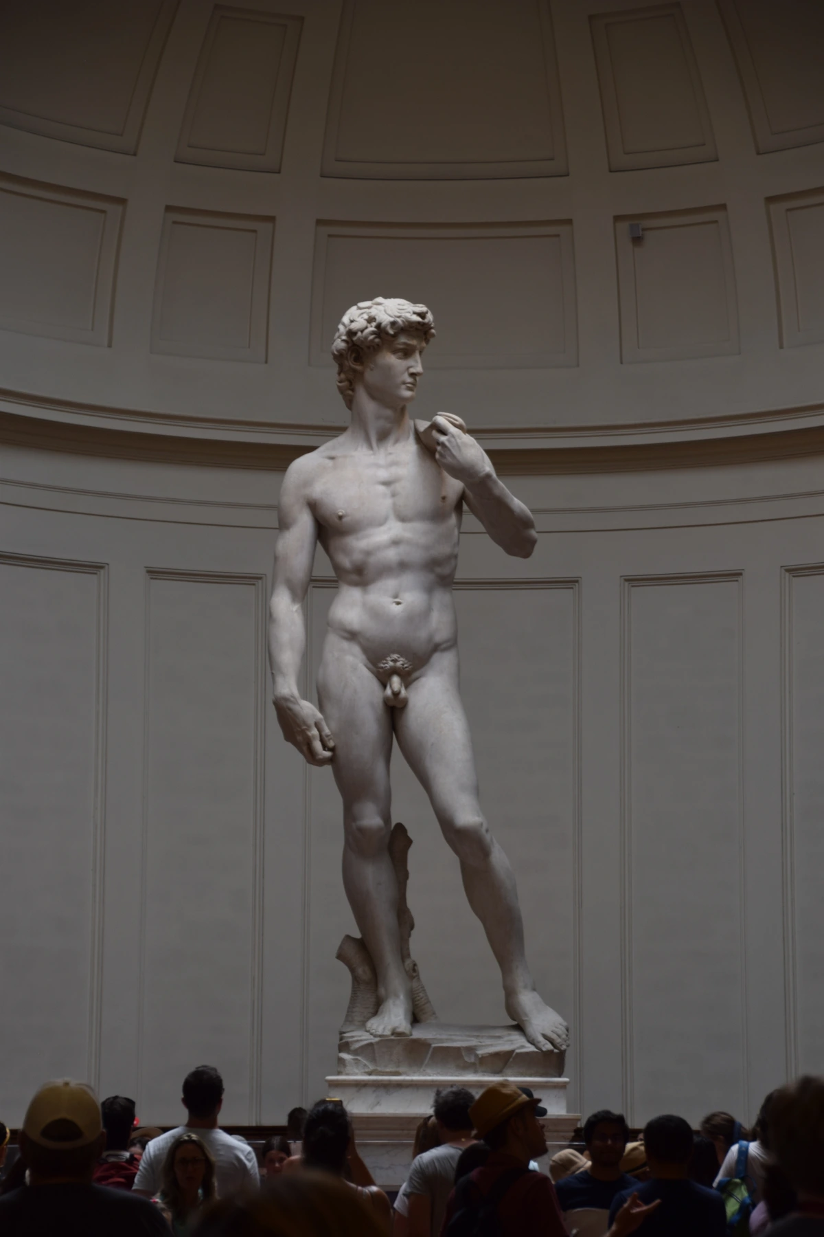 Michelangelo's David statue in the Galleria dell'Accademia, Florence
