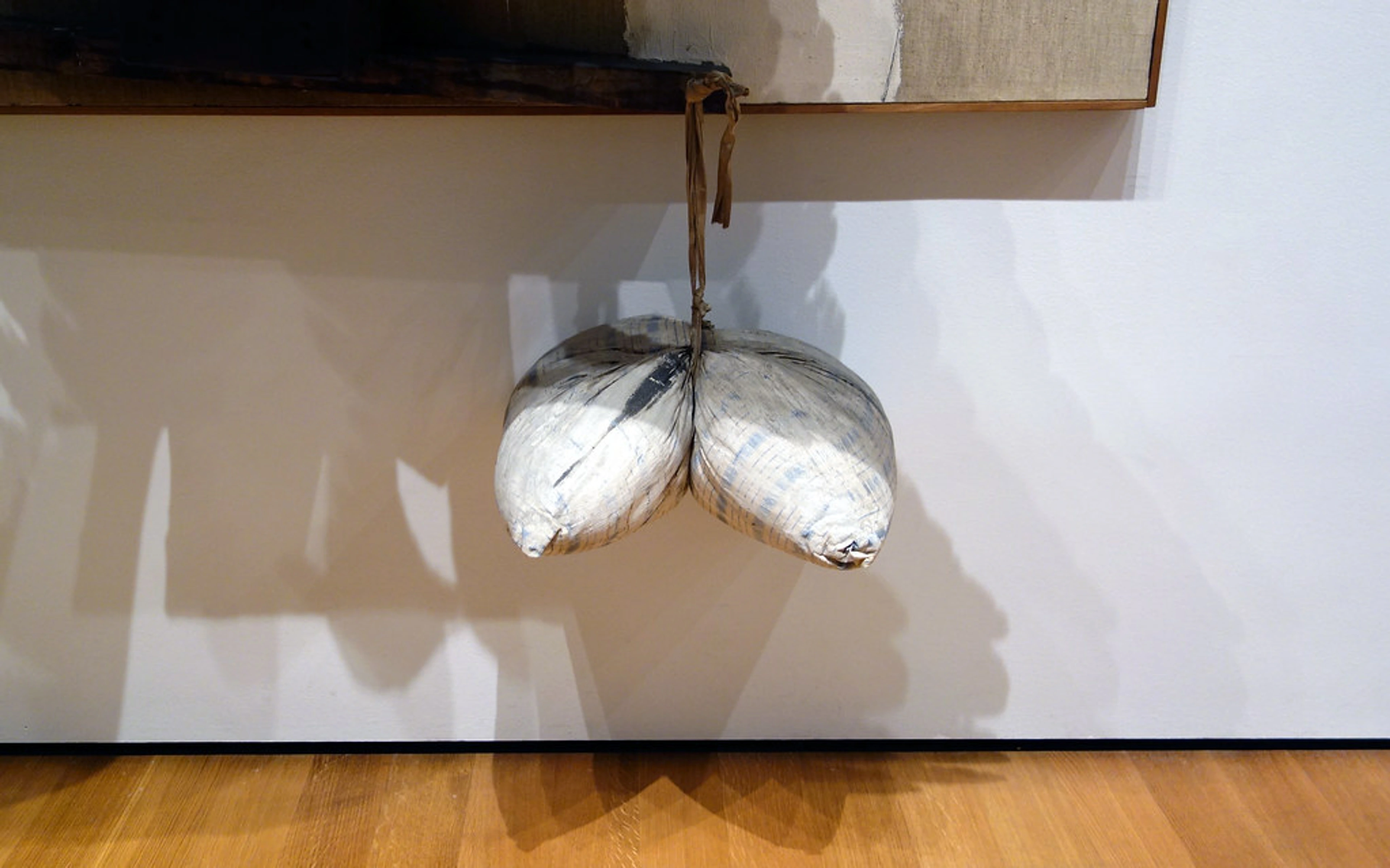 Robert Rauschenberg's 'Canyon' artwork, a hanging mixed-media sculpture made of painted fabric.