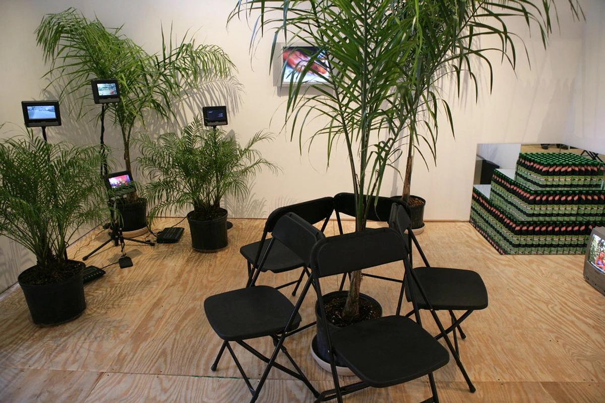 Installation featuring palm plants, multiple screens displaying video art, and chairs arranged in a circle, with stacked bottles in the background.