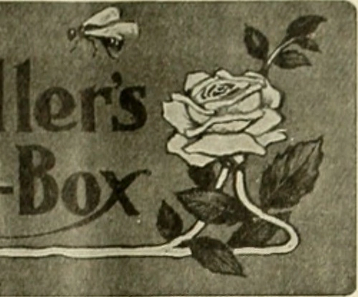 19th-century-illustration-of-wax-bloom-in-american-bee-journal-1861-entomological-artwork