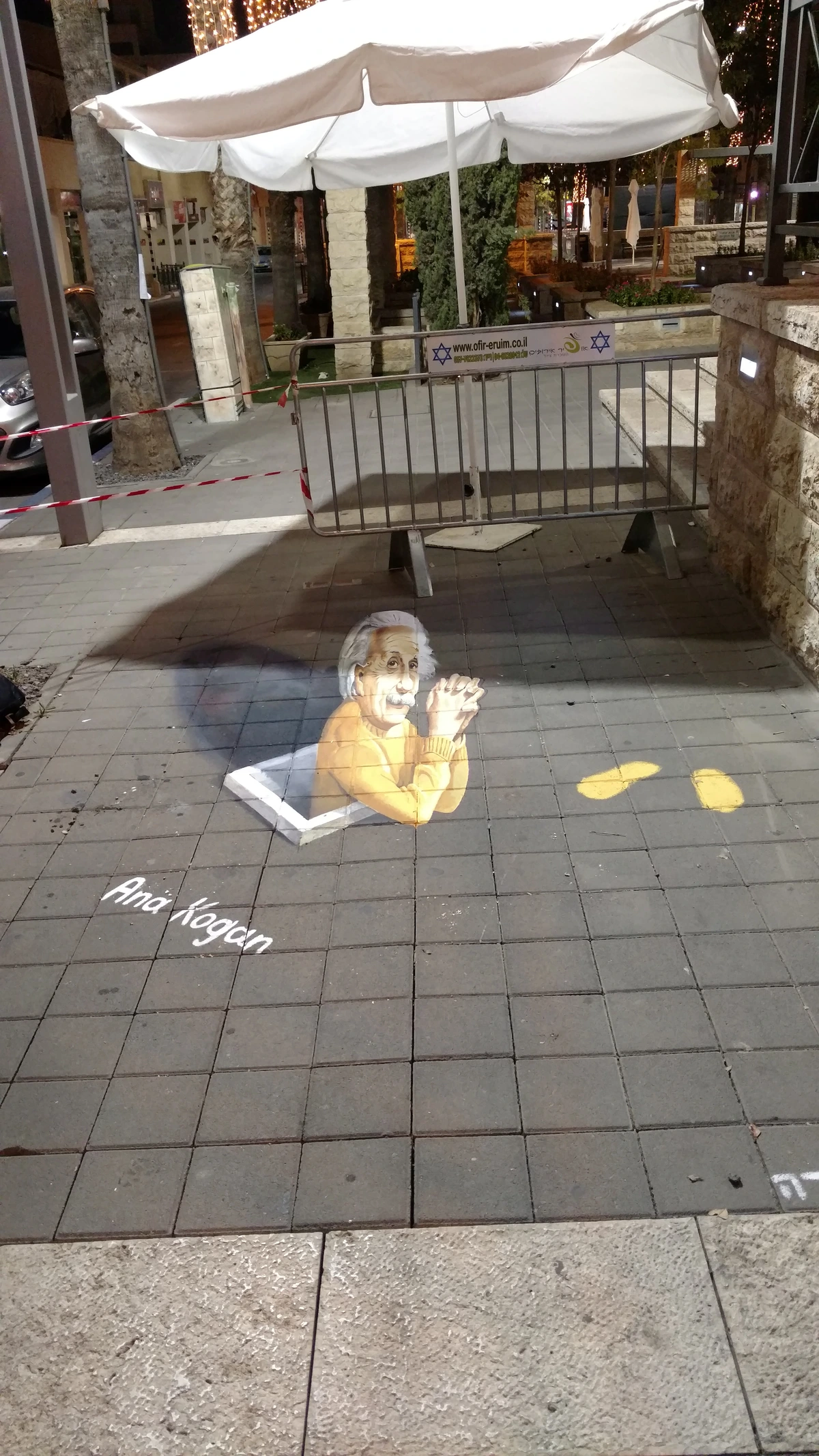 Anamorphic 3D street painting of Albert Einstein by Ana Kogan, appearing to emerge from the pavement.