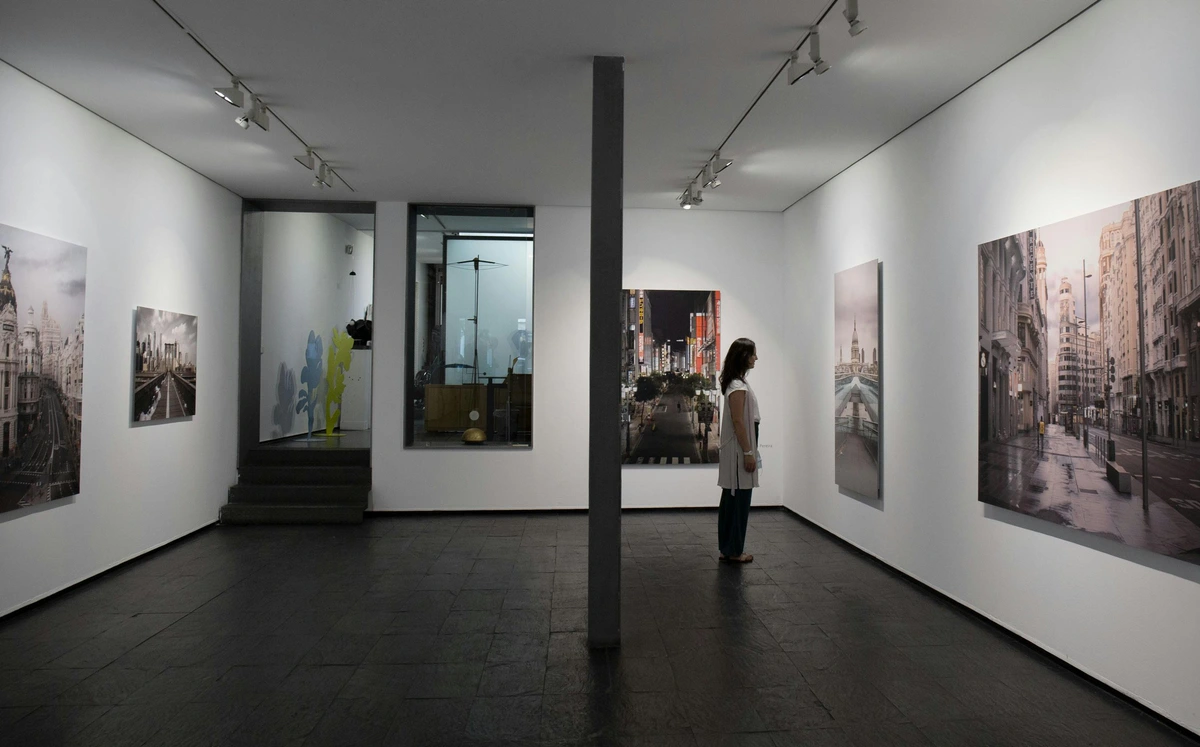 Woman looking at art installation in modern gallery setting with curated photography exhibits overhead lighting black tile flooring tracks ceiling