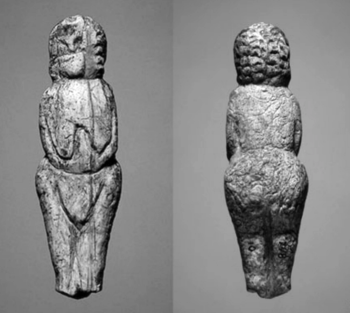 Front and back view of the Venus of Malta, a prehistoric ivory figurine from the Upper Paleolithic era.