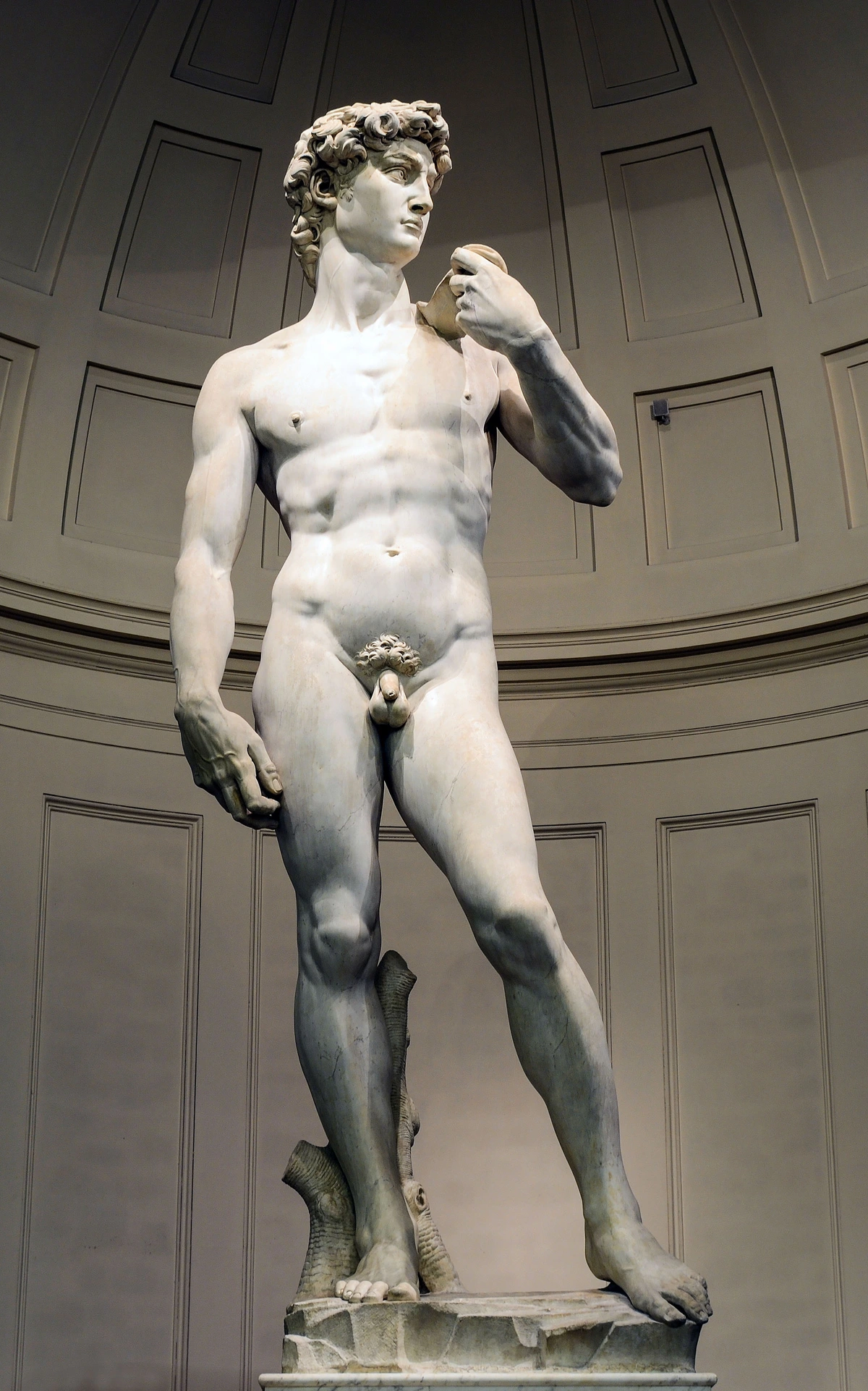 Michelangelo's David statue, a Renaissance masterpiece of a nude male figure holding a sling.