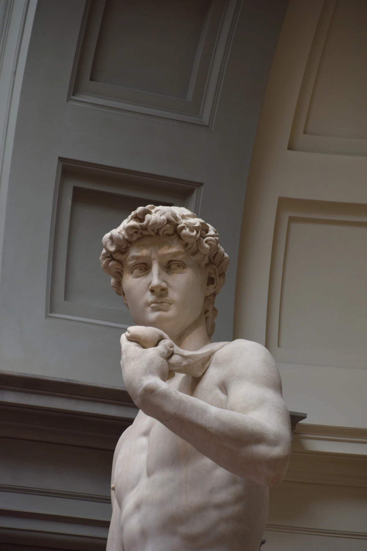 Michelangelo's David statue in Florence, Italy, a masterpiece of Renaissance sculpture.