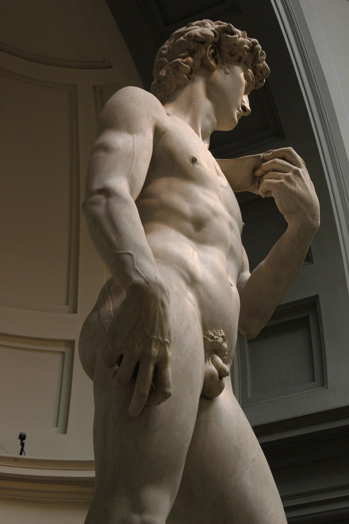 David, The David of Michelangelo - statue, an iconic Renaissance masterpiece symbolizing enduring art and timeless beauty, David's contemplative gaze and intricate details are perfectly captured in this museum-quality photo. Released as a free stock photo featuring David's serene expression and symbolic gestures. David's realistic form and enduring artistic legacy are perfectly showcased in this high-resolution image of David, Michelangelo's masterpiece representing the pinnacle of Renaissance art and enduring cultural significance. David holds an object in his hand, symbolizing transient victory and David's philosophical reflection on presence and permanence.