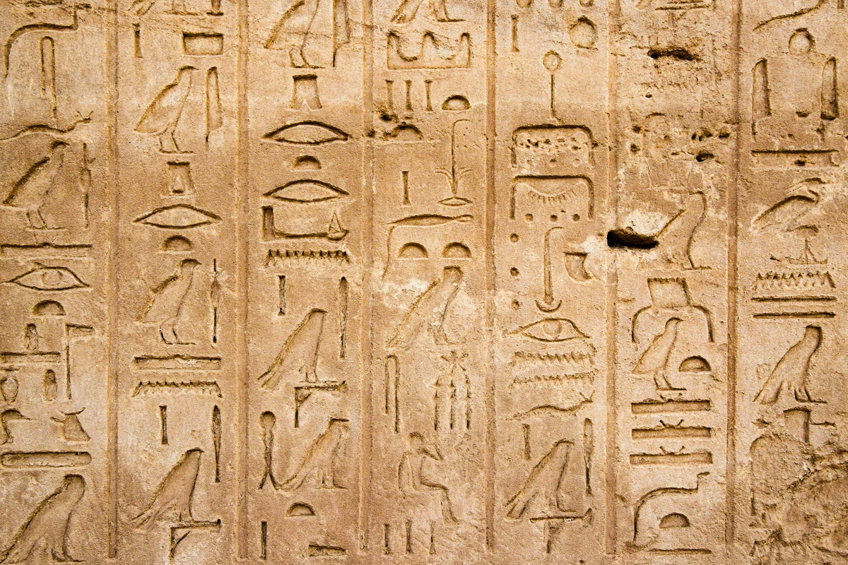 Close-up of a wall with ancient Egyptian writing in detailed hieroglyphs