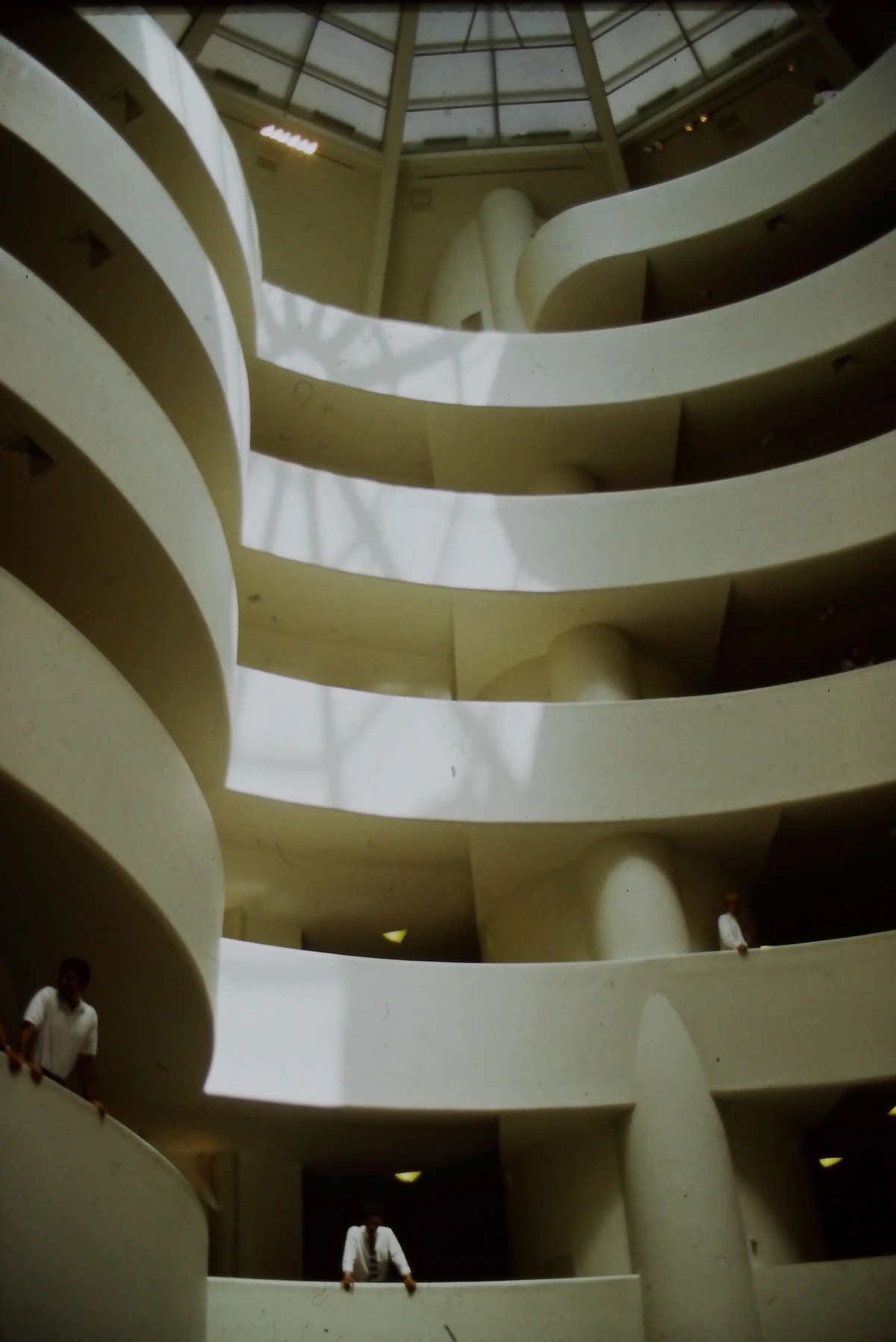 Interior view of the Solomon R. Guggenheim Museum in New York, designed by Frank Lloyd Wright, showcasing its iconic spiral ramp and atrium.