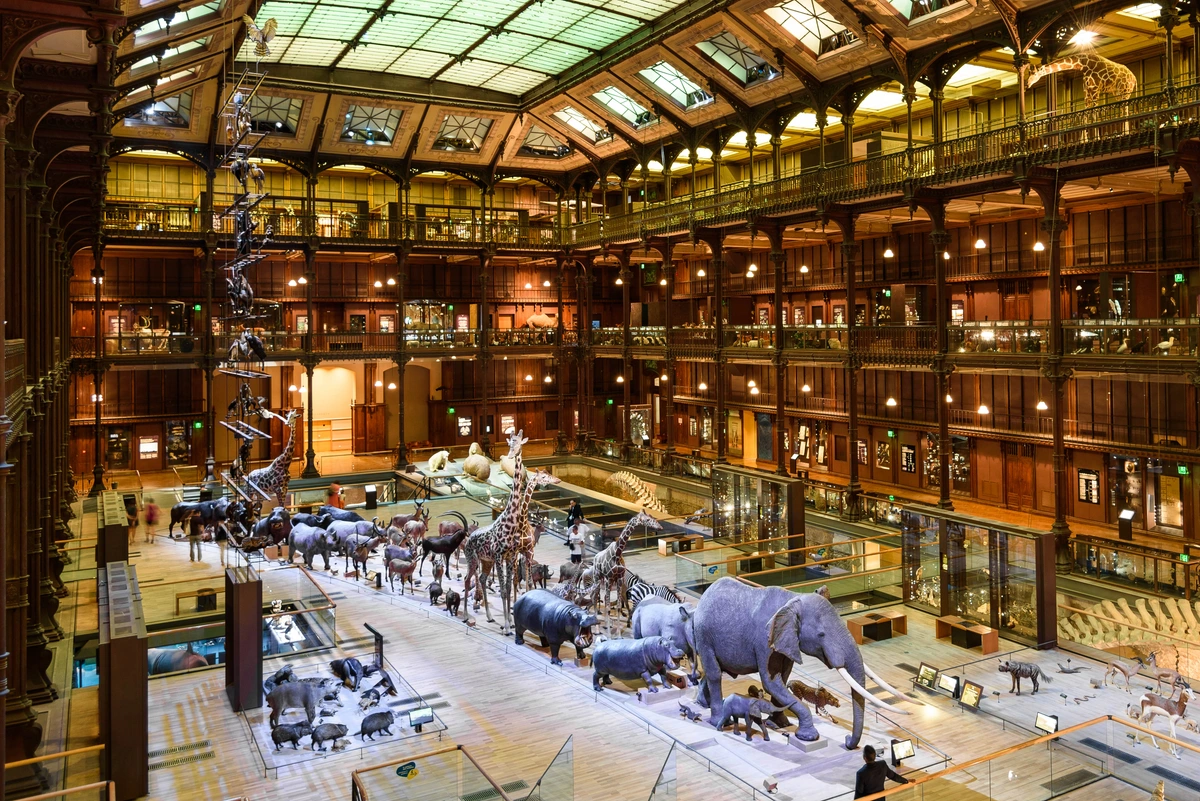 The Great Gallery of Evolution in Paris, showcasing a vast collection of taxidermied animals in a grand, multi-level hall with a glass ceiling.