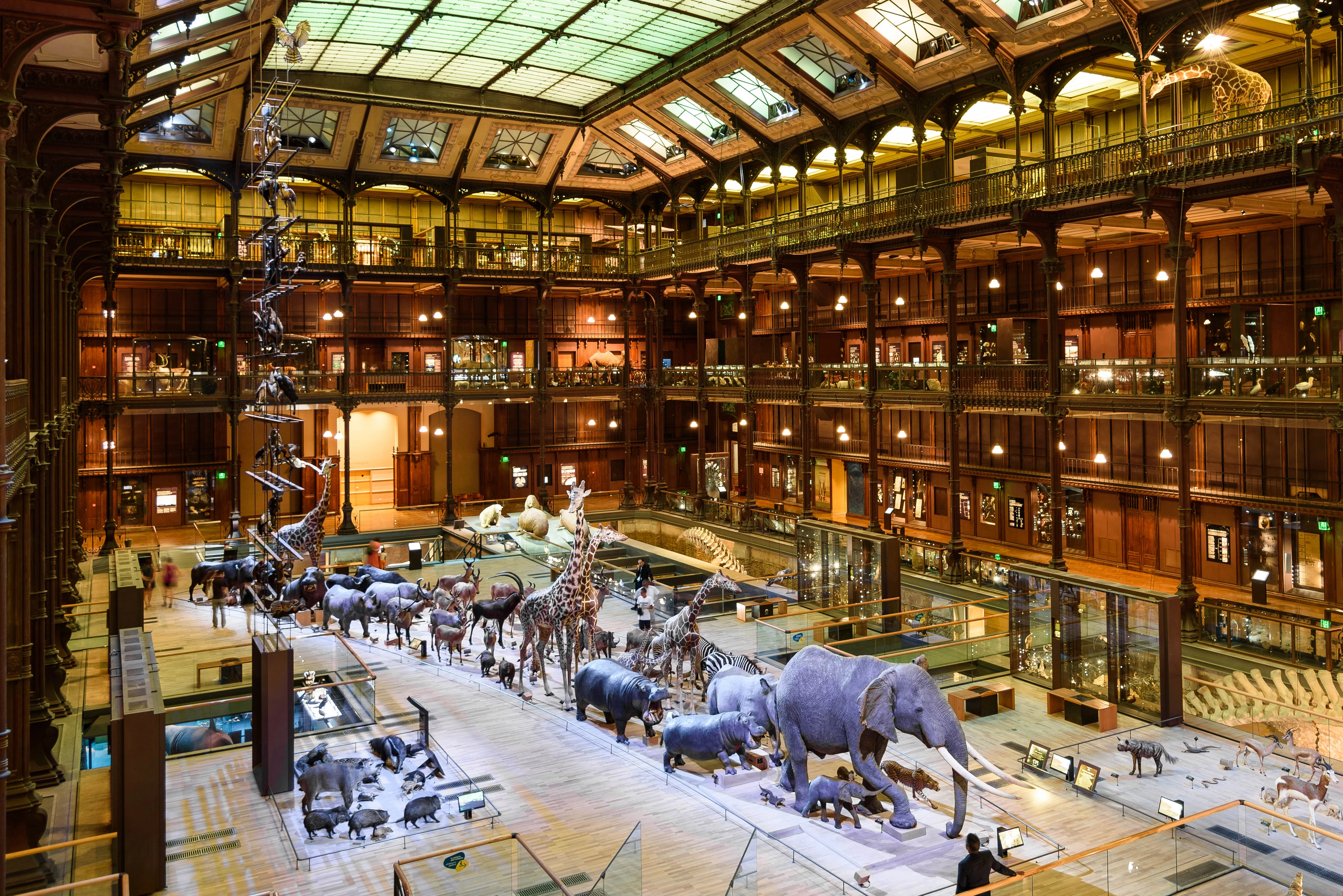 The Great Gallery of Evolution in Paris, showcasing a vast collection of taxidermied animals in a grand, multi-level hall with a glass ceiling.