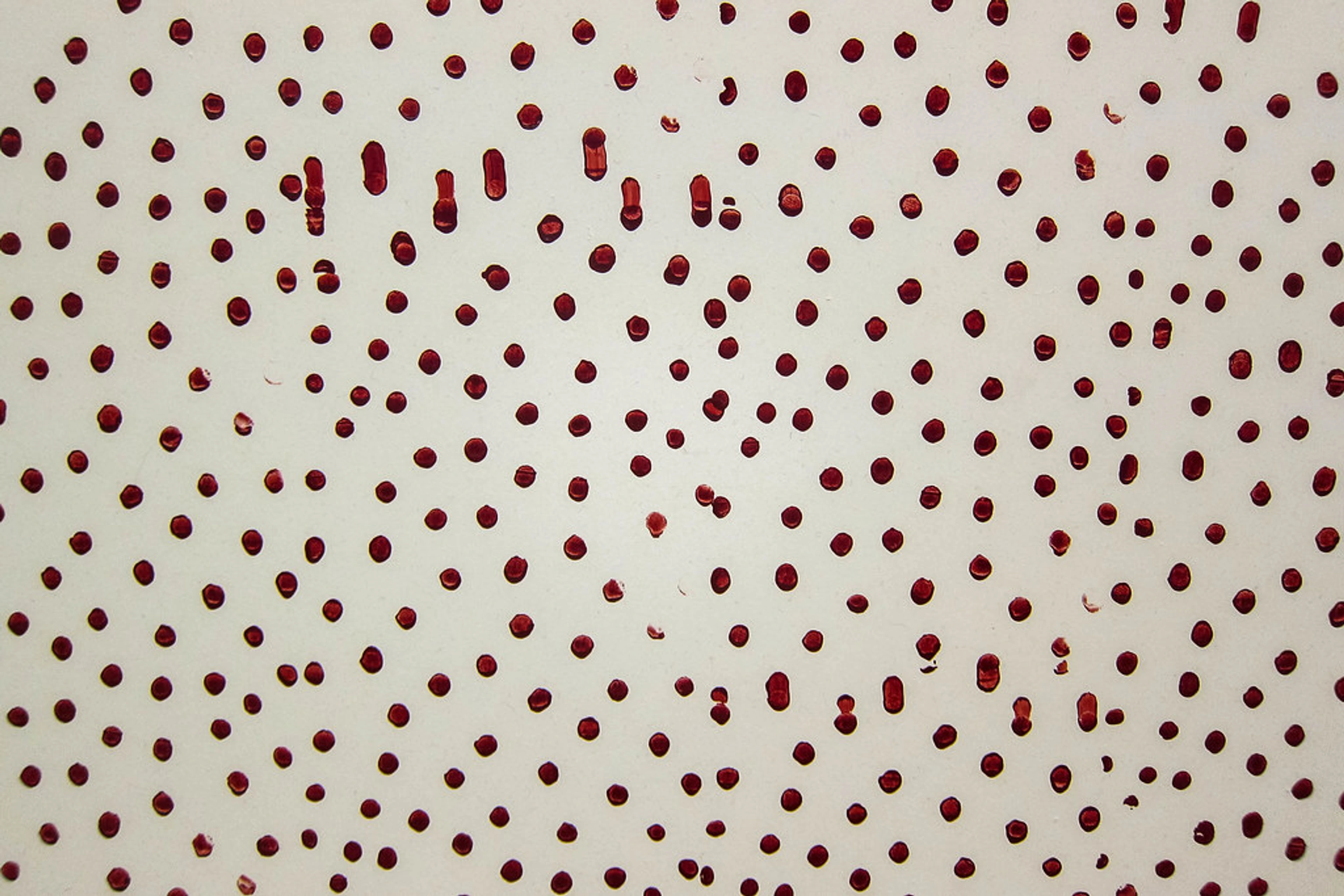 Detail of Christopher Wool's 'Untitled' (1987, 1989) painting, featuring a pattern of irregular dark red dots and drips on a light background.