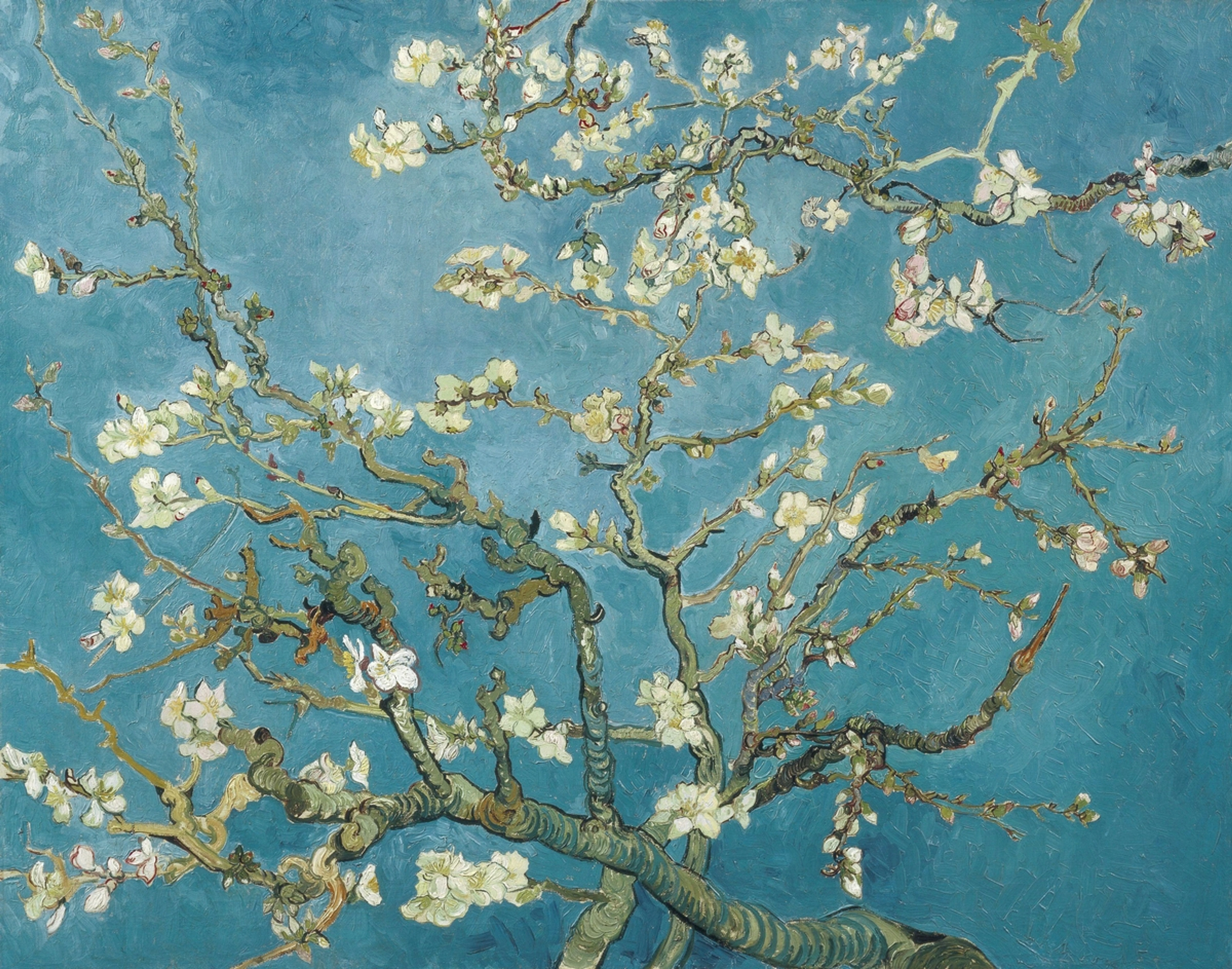 Vincent van Gogh's "Almond Blossoms" featuring white and pale pink flowers on dark branches against a clear blue sky.