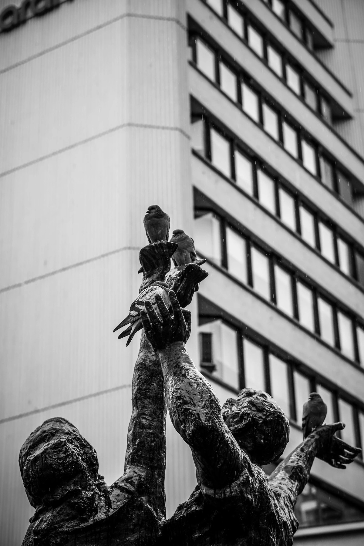 Black and white photo of a bronze sculpture of two figures reaching upwards, with several birds perched on their outstretched hands and arms.