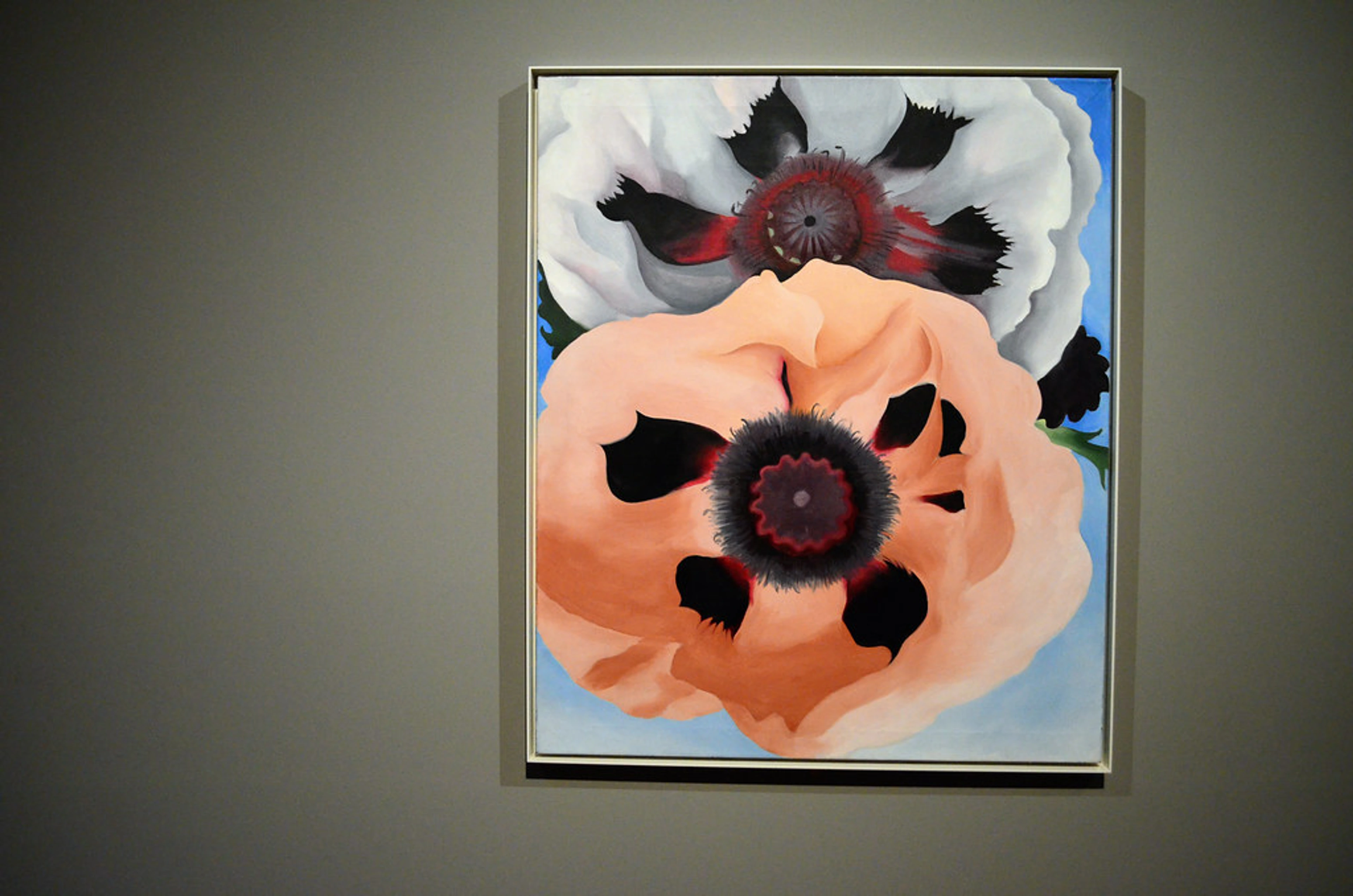 Georgia O'Keeffe's iconic painting of two large, vibrant poppies in close-up, showcasing her signature style of abstracting natural forms.