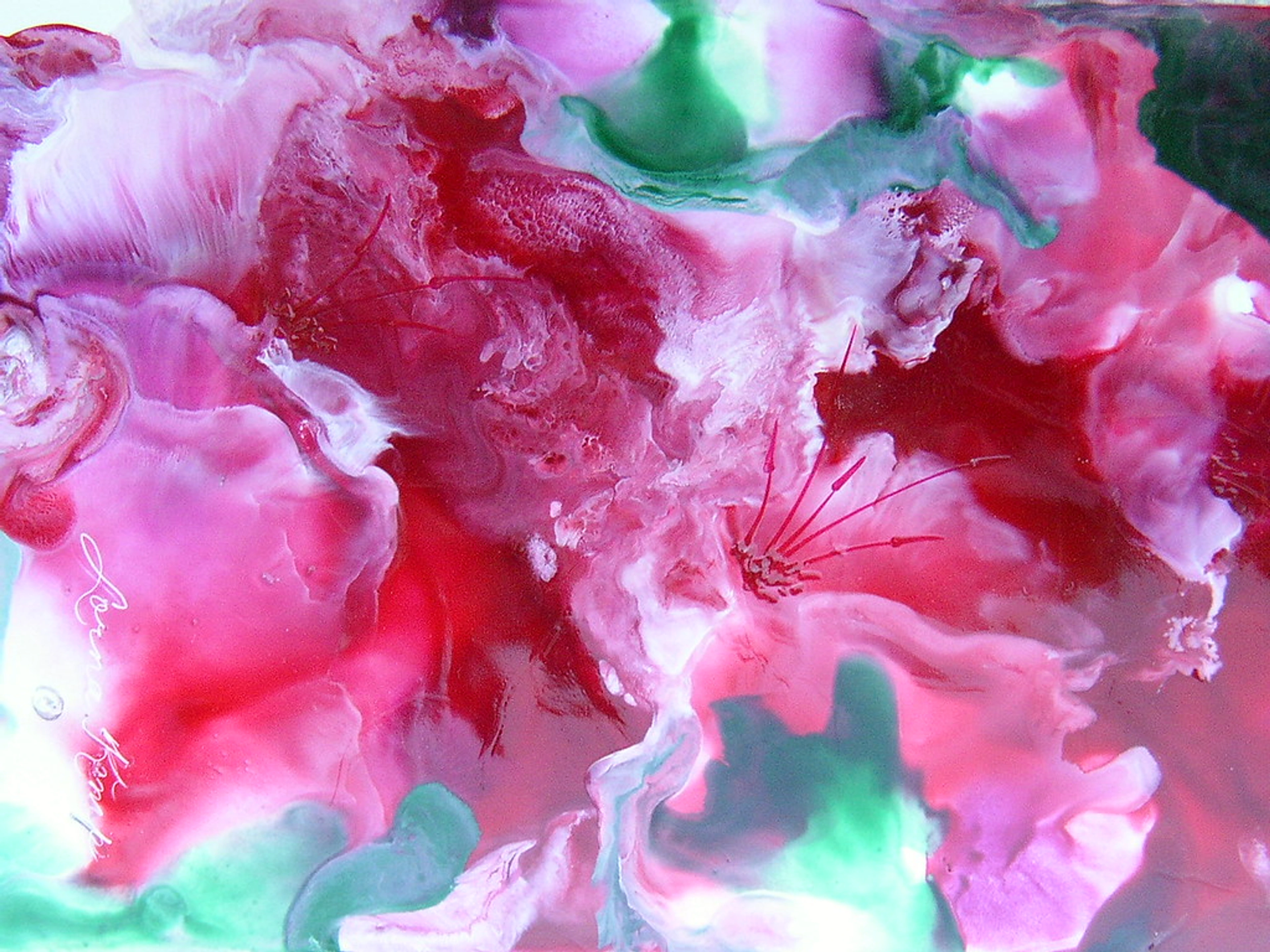 Vibrant pink and red petunia-like flowers created with encaustic beeswax painting technique, showcasing fluid textures and delicate stamen details.